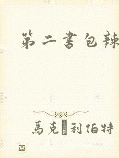 第二书包辣文