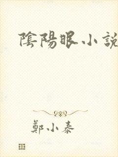 阴阳眼小说