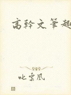 高干文笔趣阁封面