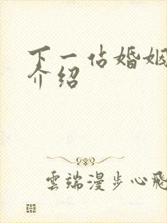 下一站婚姻剧情介绍封面