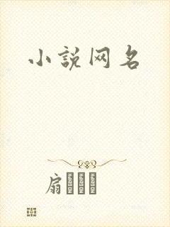小说网名