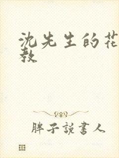 沈先生的花式管教