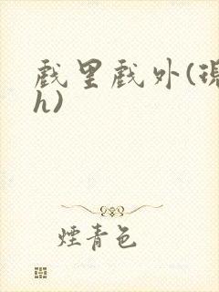 戏里戏外(现场h)