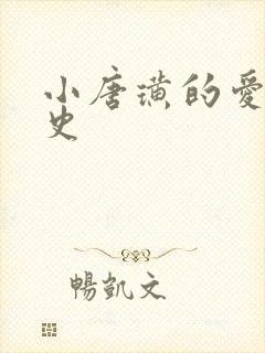 小唐璜的爱情历史