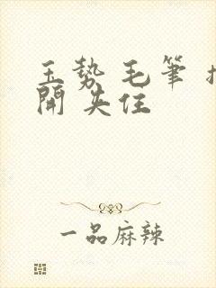 玉势 毛笔 撑开 夹住