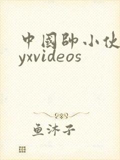中国帅小伙gayxvideos封面
