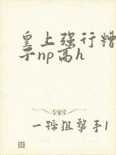 皇上强行糟蹋太子np高h