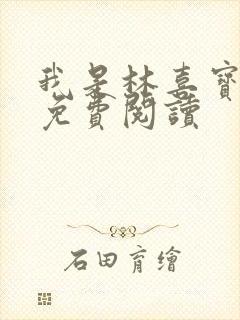 我是林喜宝小说免费阅读