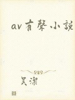 av有声小说