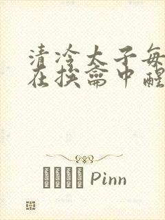 清冷太子每日都在挨龠中醒来小说