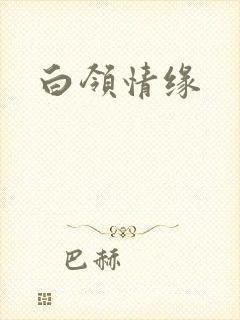 白领情缘