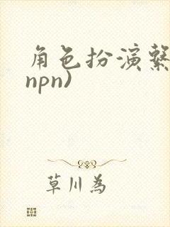 角色扮演系统(npn)