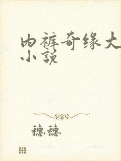 内裤奇缘大团结小说