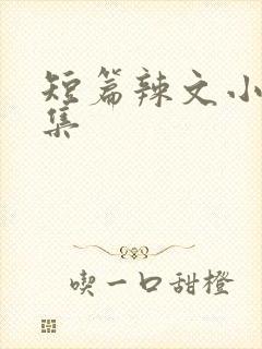 短篇辣文小说合集