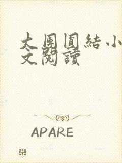 大团圆结小茹全文阅读