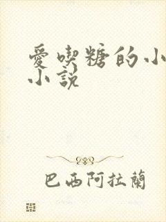 《爱吃糖的小麻雀小说》小说封面