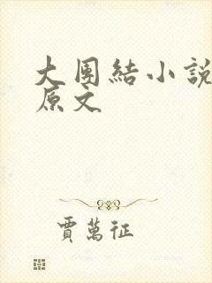 大团结小说阅读原文