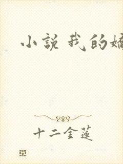 小说 我的娇妻
