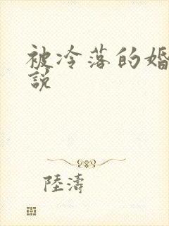 被冷落的婚姻小说