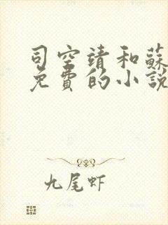 司空靖和苏月汐免费的小说笔趣阁