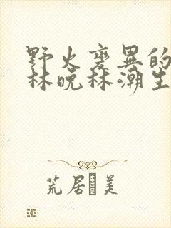 野火变异的父爱林晚林潮生