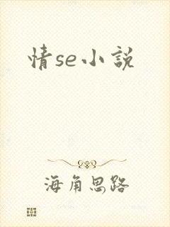 情se小说