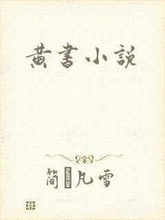 黄书小说