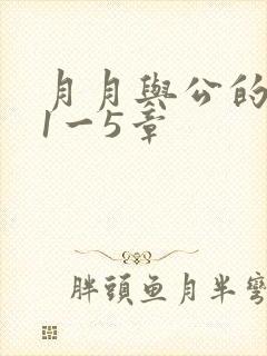 月月与公的激情1一5章