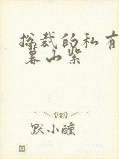 总裁的私有宝贝 暮山紫