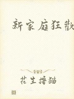 新家庭狂欢小说