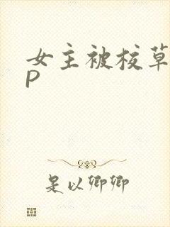 女主被校草们NP