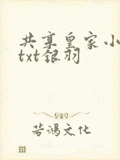 共享皇家小公主txt银羽