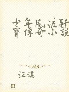 少年风流轩辕大宝传奇小说