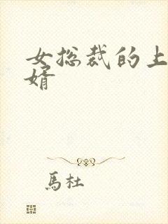 女总裁的上门女婿