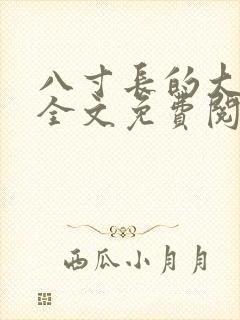 《八寸长的大宝贝全文免费阅读》小说封面