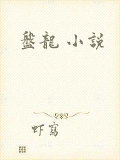 盘龙 小说