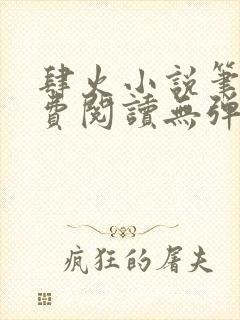 肆火小说笔趣免费阅读无弹窗