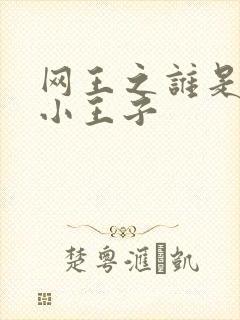 网王之谁是我的小王子