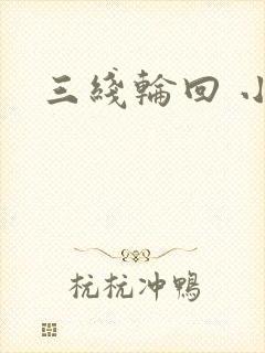 三线轮回 小说