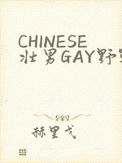 CHINESE壮男GAY野战强迫TUBE