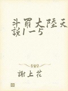 斗罗大陆天狂传说1一5