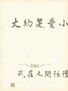 大约是爱小说