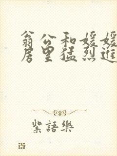 翁公和媛媛在厨房里猛烈进出