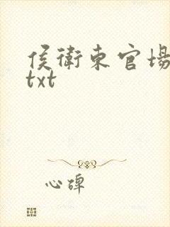 侯卫东官场笔记txt