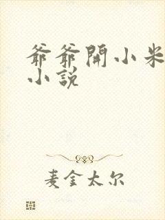 爷爷开小米的包小说