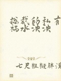 总裁的私有宝贝祸水泱泱