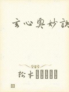 玄心奥妙诀