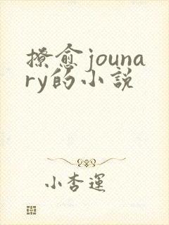 撩愈jounary的小说