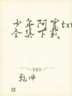 少年阿宾txt全集下载