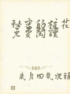 秘密的校花小说免费阅读